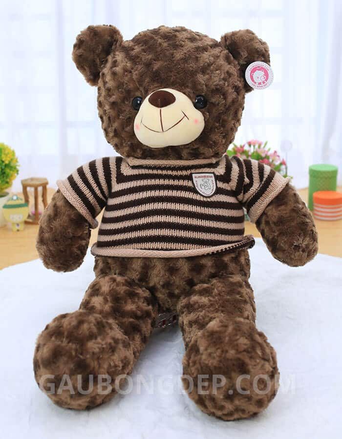 hinh-san-pham-gau-teddy-ma-hong-choco-truoc.jpg
