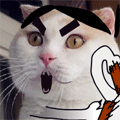 LoK4CaN.gif