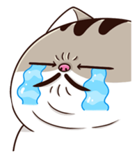 uY6NSh8.png