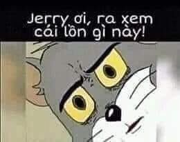 IHFPurY.png