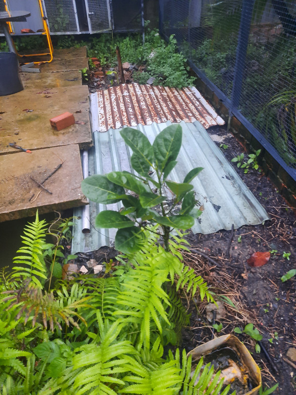 20250604-174516.jpg