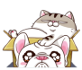 YBrWBBp.png