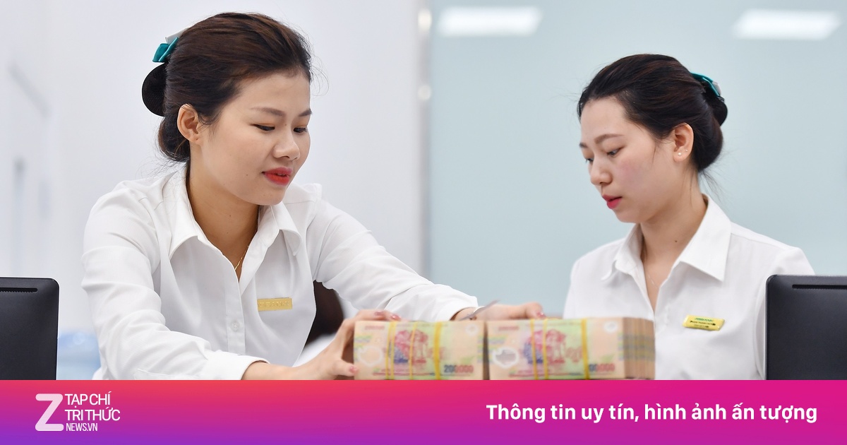 znews.vn