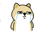 C8Q5367.png