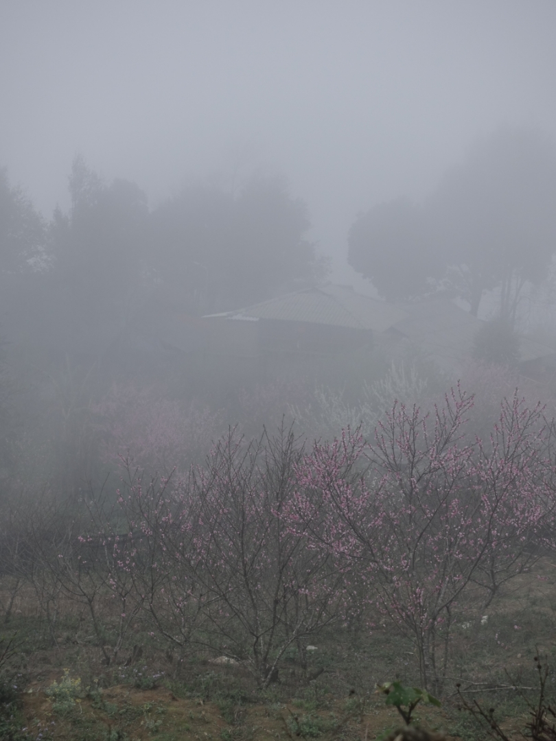 xY09x0h.jpg