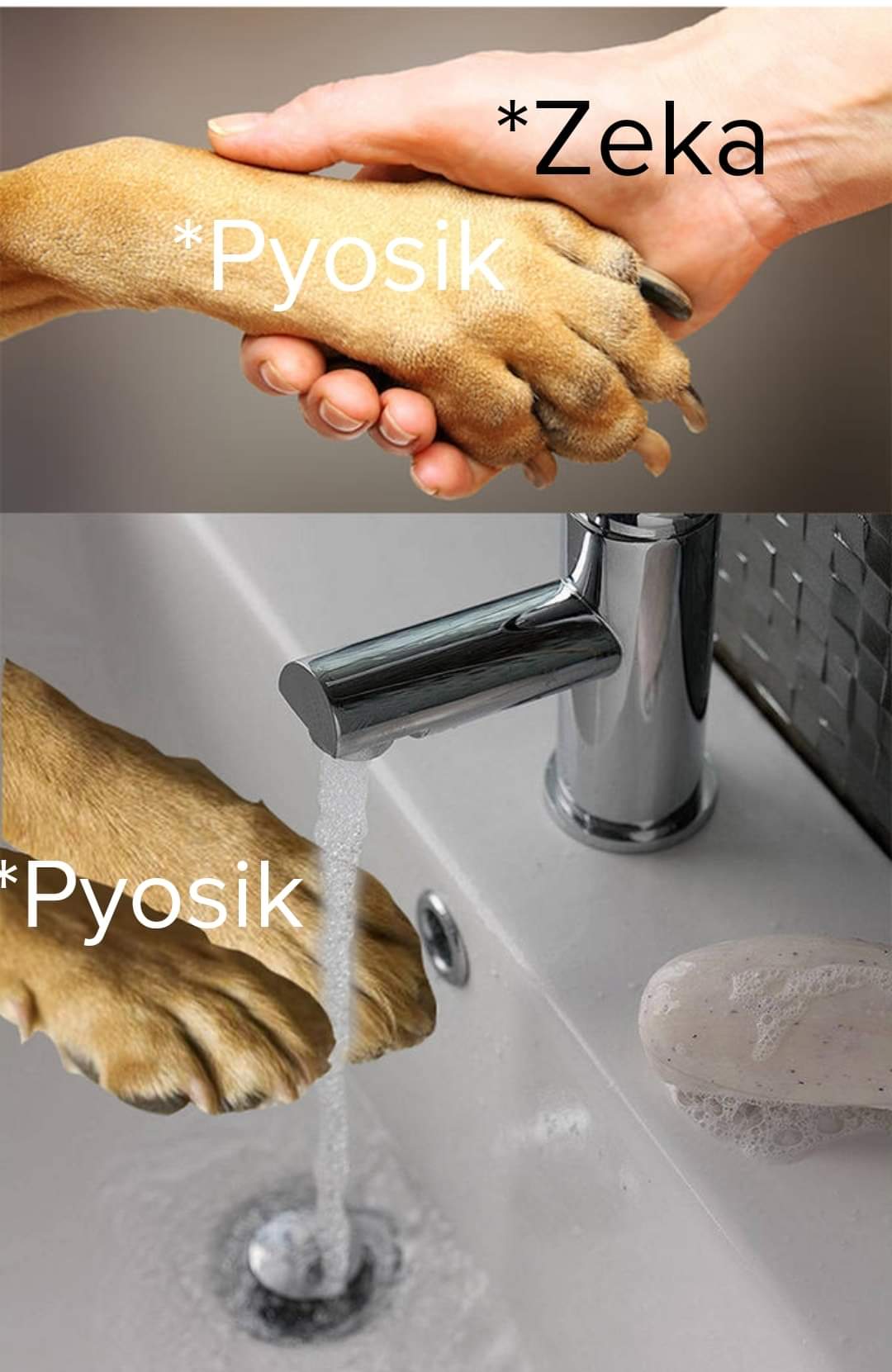 avZNeY2.jpg