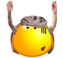 ZWmFNc6.png