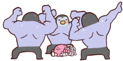 YQapxey.gif