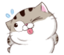 EdAxwXo.png