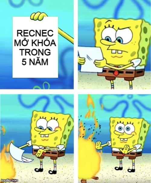 dZkA9MN.jpg