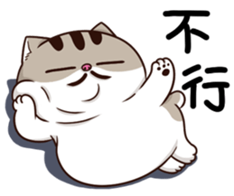 oFtuL08.png