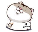 5g6KO8p.png