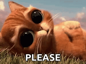 cat-sadface-please-gif-10136432.gif