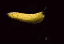 ugbfruY.gif