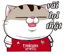 5dlZCb7.png
