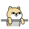 zCQ5Sns.png