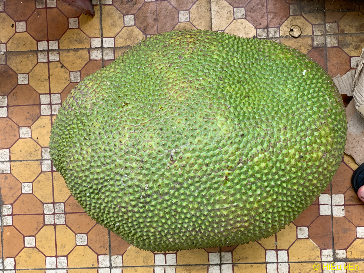 2020ef895ca1-ada7-4308-af35-51a527814188.png