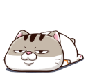 kU7haQn.png