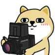 M6fJuQ5.png