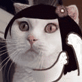 WGbuZN5.gif