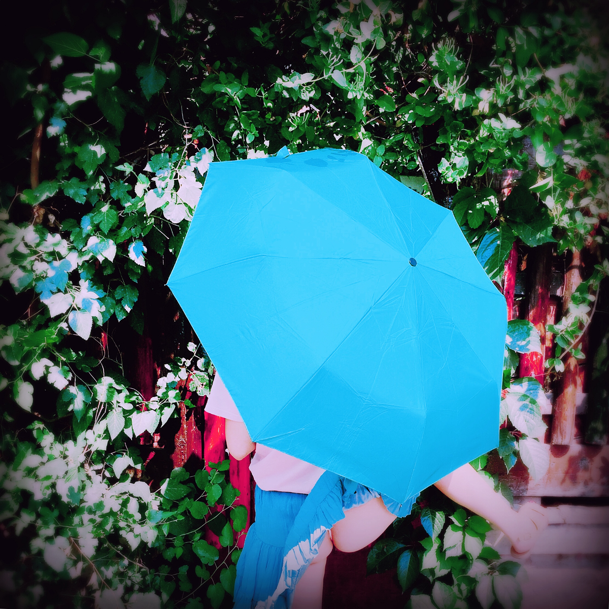 202144350e10-5b41-45bb-82d2-2e5f422be63c.png