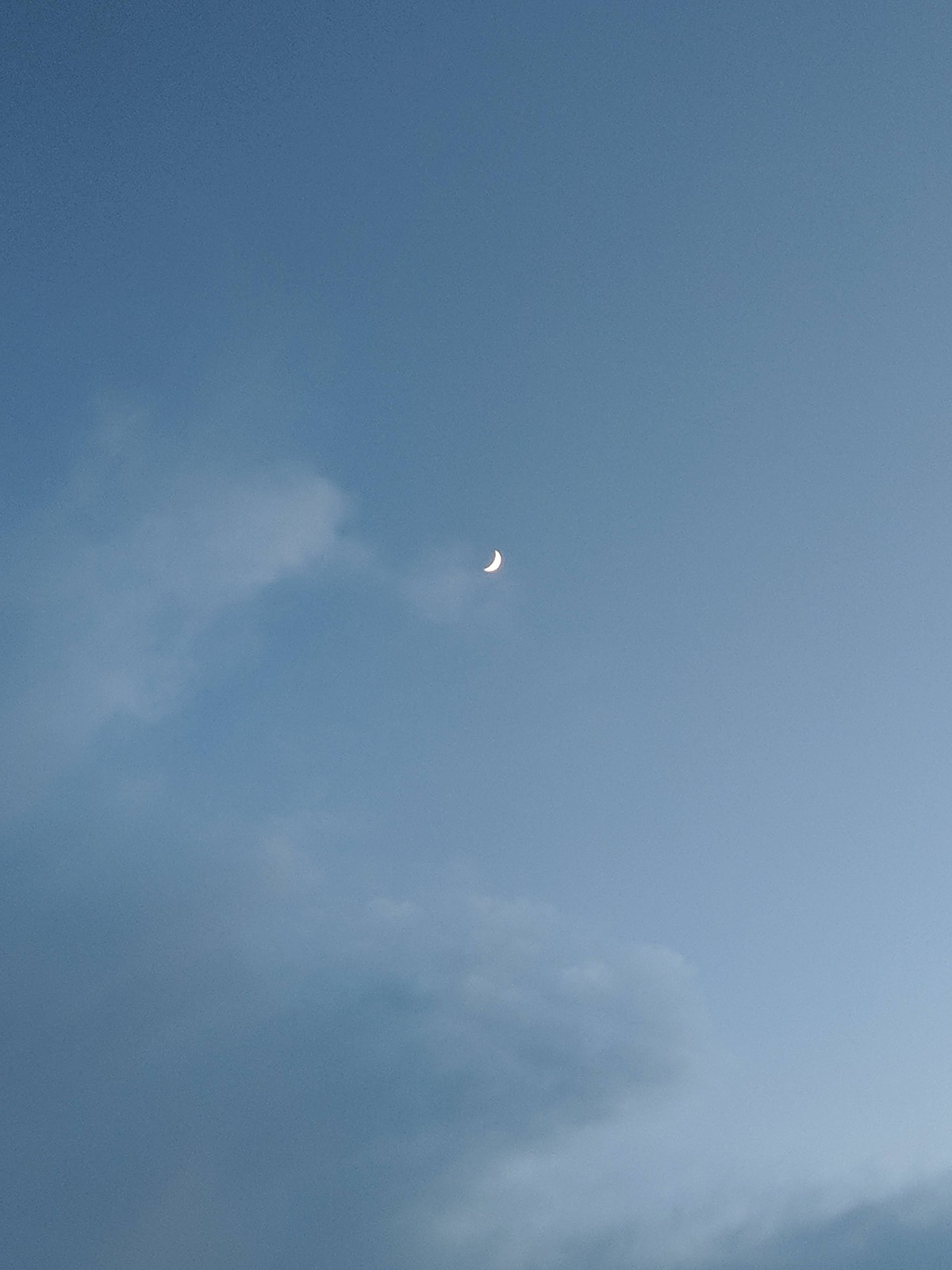 2021f9fa3acd-2f65-41a6-8600-b5274a8c4f47.jpg