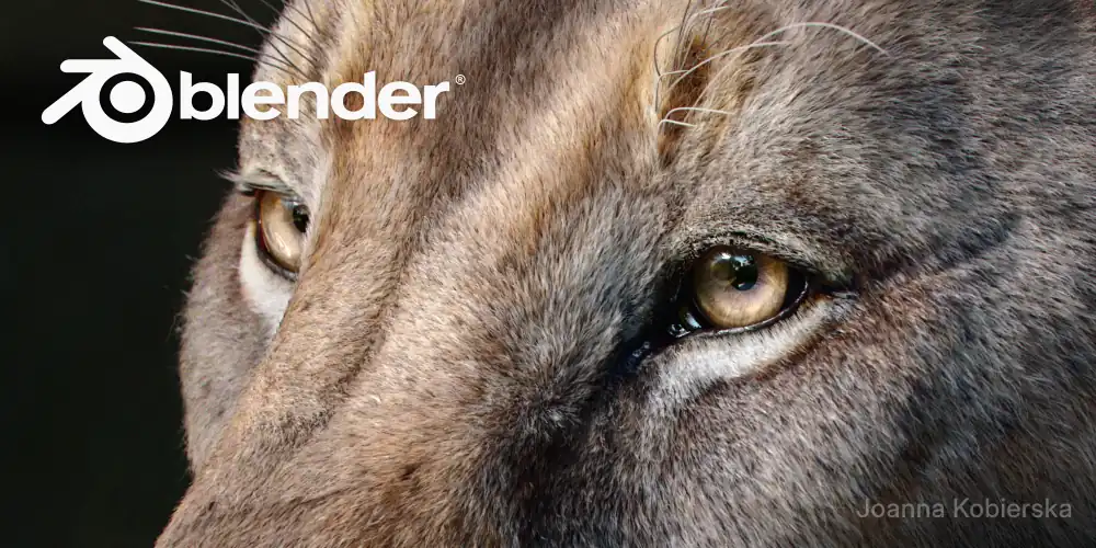 www.blender.org