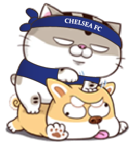 hHRGPIm.png