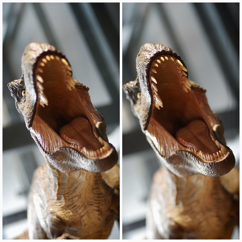 52342686713_88df686f8e_c.jpg