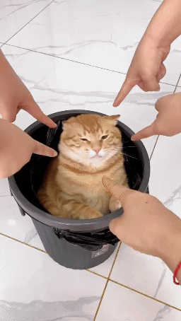 081735bcf5628e70ce5a4250adedc876.gif