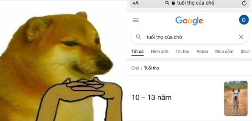 AxNIQgy.png