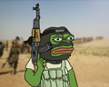 WLPzRMT.jpg