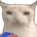 z7uDSv6.gif