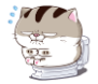 ZZG3wtS.png