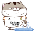 EJOK6a9.png