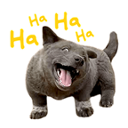 m9khSoL.png