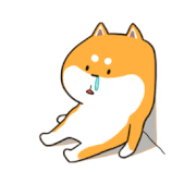 rQmPpLp.gif