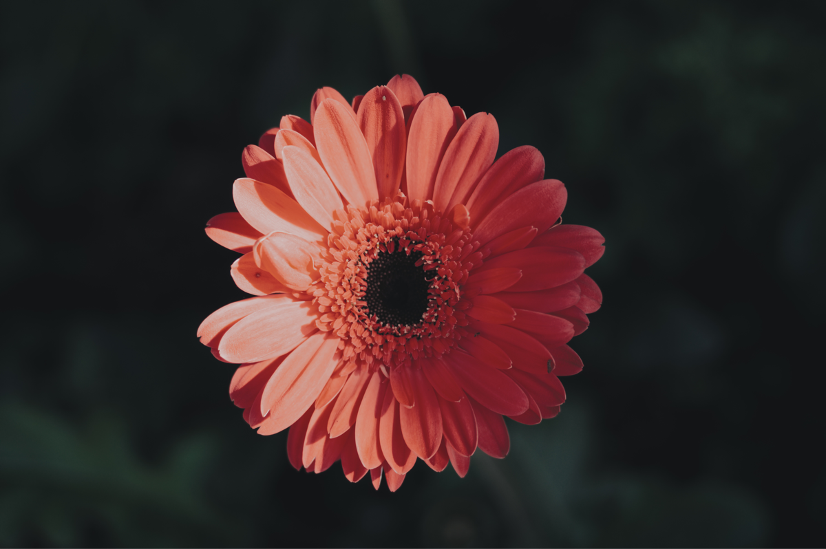 202149af5d66-4d78-4cd7-bec6-7d0e7a1131a3.png