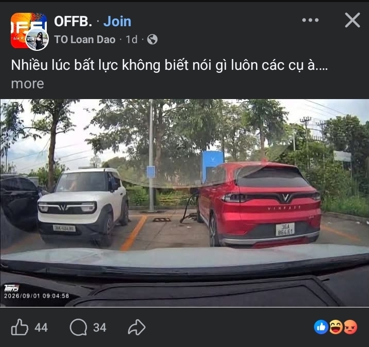 22333dd9d069.jpg