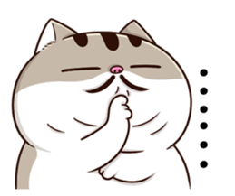 q5OnTgT.png