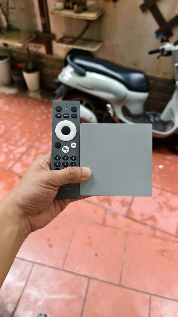 p650.jpg