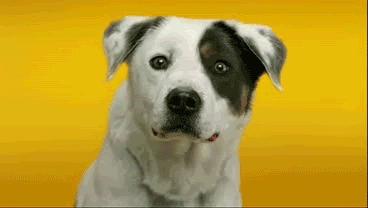 d80aiwE.gif