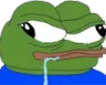 3916-pepedumb.png