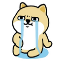 yTFban3.png