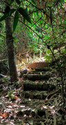 IMG-20250921-101222-EDIT.jpg