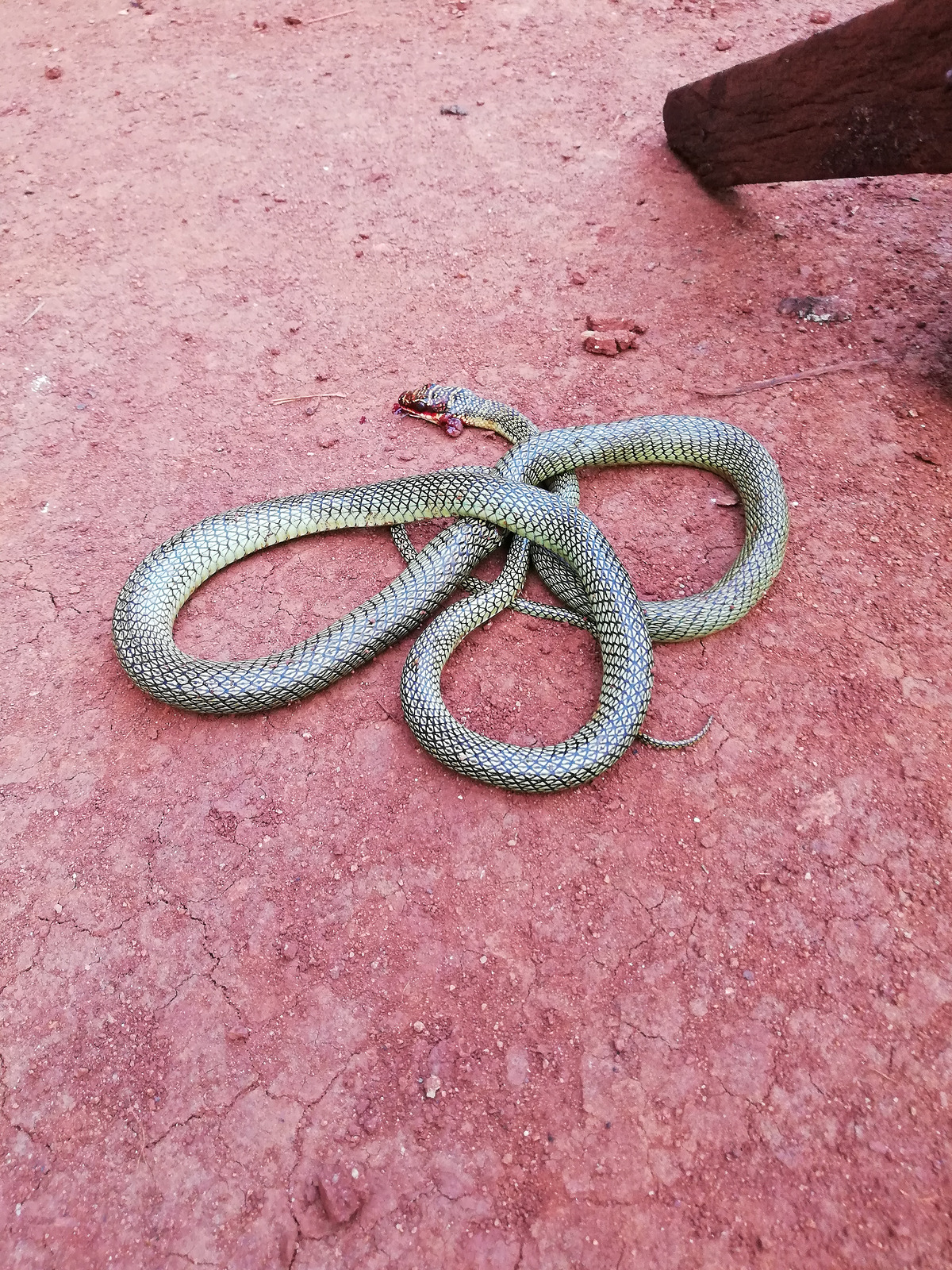 20213d9bc99c-b24f-4921-8f38-d2b630a60cc0.jpg