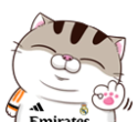 rsNFXR7.png