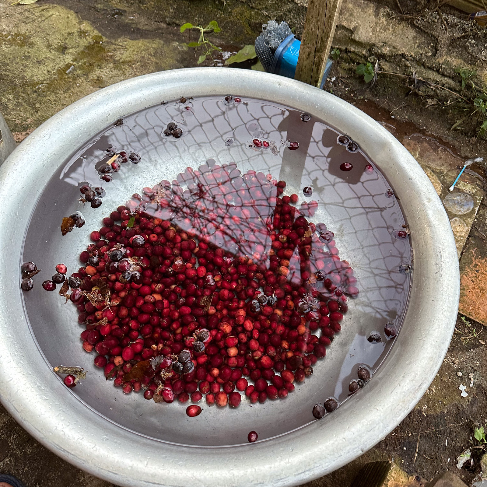 53486024655_74fab27667_h.jpg
