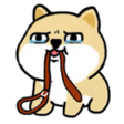 k8aCMgg.png