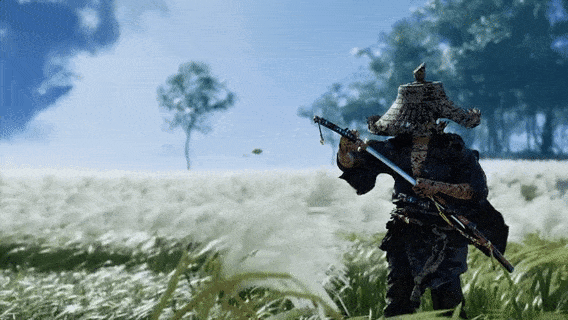 bDW0Na9.gif
